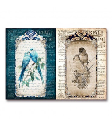 Vintage Birds - Colecciones de papel de arroz para decoupage