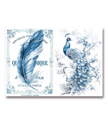 Vintage Birds - Colecciones de papel de arroz para decoupage