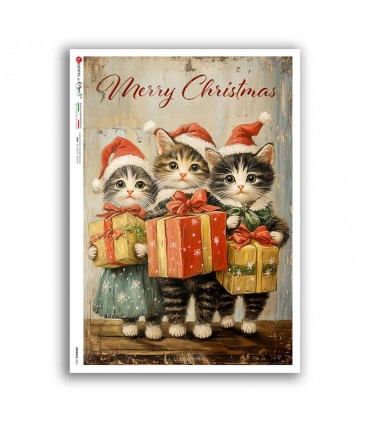 ANIMALS-0261. Papel de Arroz animales para decoupage.