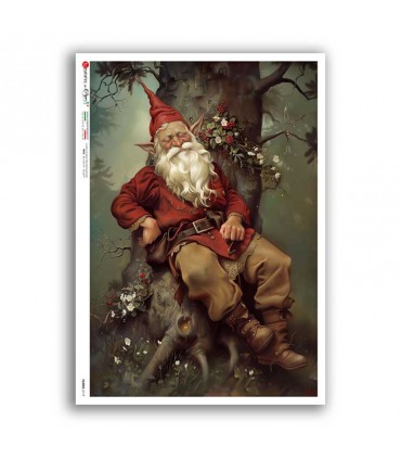 FAIRIES-0119. Rice Paper for decoupage fairies.