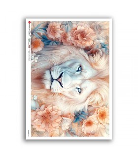 ANIMALS-0271. Carta di riso animali per decoupage.