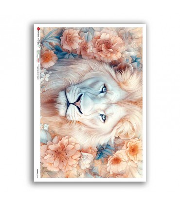 ANIMALS-0271. Carta di riso animali per decoupage.