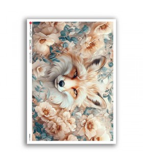 ANIMALS-0272. Animals Rice Paper for decoupage.