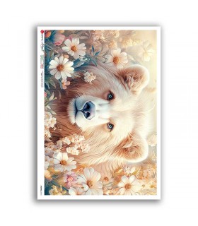 ANIMALS-0273. Animals Rice Paper for decoupage.