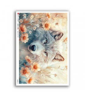 ANIMALS-0274. Papel de Arroz animales para decoupage.