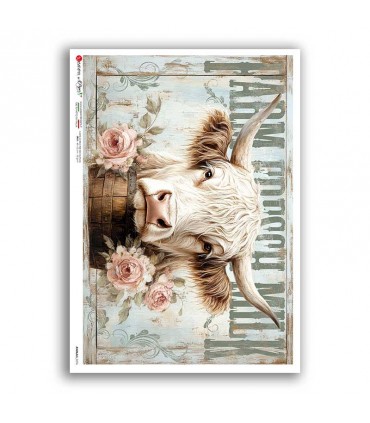 ANIMALS-0276. Carta di riso animali per decoupage.