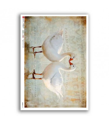 ANIMALS-0278. Animals Rice Paper for decoupage.