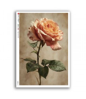 FLOWERS-0452. Rice Paper flowers for decoupage.