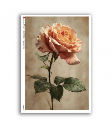 FLOWERS-0452. Rice Paper flowers for decoupage.