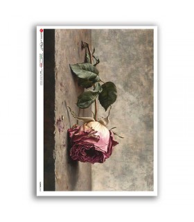 FLOWERS-0453. Rice Paper flowers for decoupage.