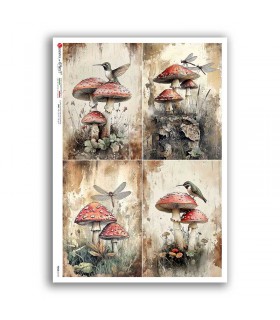 FOOD-0178. Carta di riso cucina per decoupage.