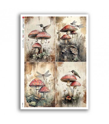 FOOD-0178. Carta di riso cucina per decoupage.