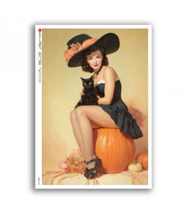 PINUP-0055. Carta di riso pin-up per decoupage.