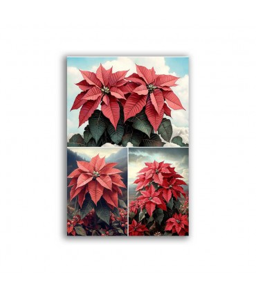 GF-NATALE-036. Carta di riso grande formato