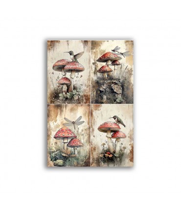 GF-COCINA-025. Papel de arroz de gran tamaño