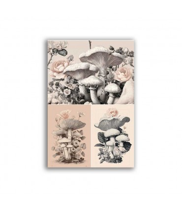 GF-CUCINA-026. Carta di riso grande formato