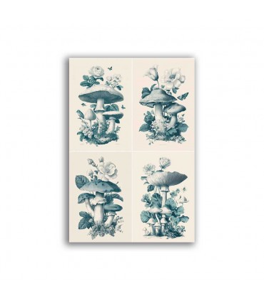 GF-CUCINA-027. Carta di riso grande formato