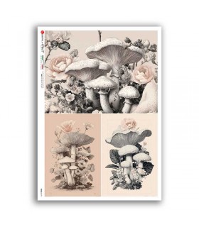 FOOD-0179. Carta di riso cucina per decoupage.