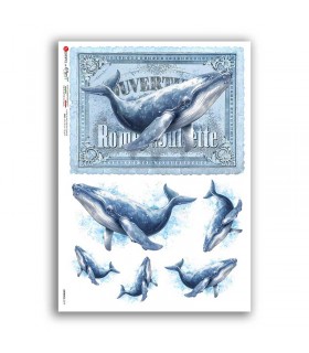 ANIMALS-0279. Carta di riso animali per decoupage.