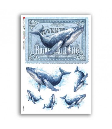 ANIMALS-0279. Animals Rice Paper for decoupage.