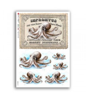 ANIMALS-0282. Papel de Arroz animales para decoupage.