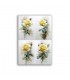 GF-FLOWERS-122. Rice paper large format