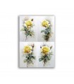 GF-FLOWERS-122. Rice paper large format