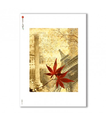 ALBUM-L-0007. Papel de Arroz album para decoupage.