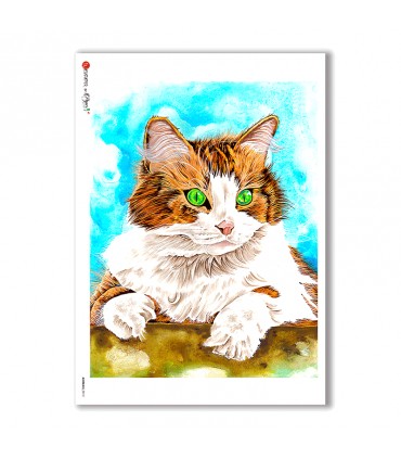 ANIMALS-0012. Carta di riso animali per decoupage.