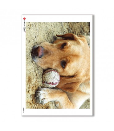 ANIMALS-0022. Animals Rice Paper for decoupage.