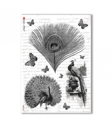 ANIMALS-0035. Carta di riso animali per decoupage.