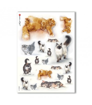 ANIMALS-0037. Carta di riso animali per decoupage.