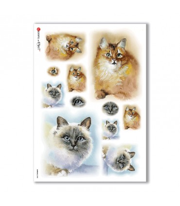 ANIMALS-0038. Animals Rice Paper for decoupage.