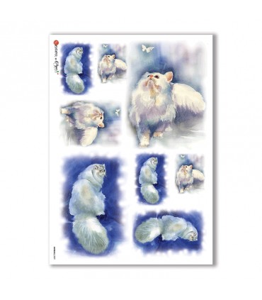 ANIMALS-0039. Animals Rice Paper for decoupage.