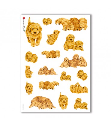 ANIMALS-0042. Animals Rice Paper for decoupage.