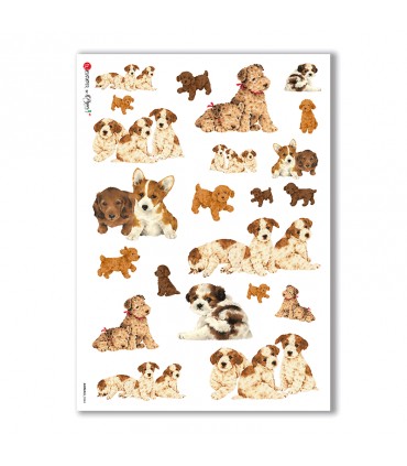 ANIMALS-0044. Animals Rice Paper for decoupage.