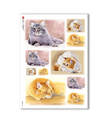 ANIMALS-0045. Animals Rice Paper for decoupage.