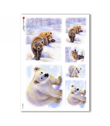 ANIMALS-0046. Carta di riso animali per decoupage.