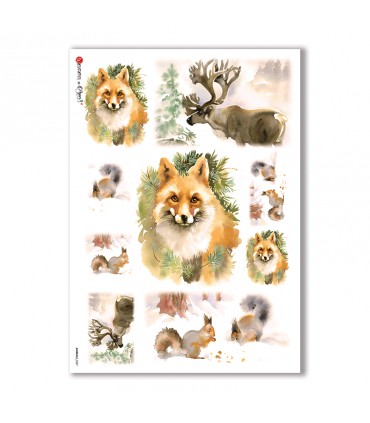 ANIMALS-0057. Papel de Arroz animales para decoupage.