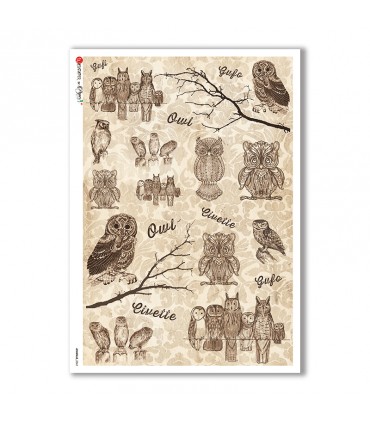 ANIMALS-0061. Carta di riso animali per decoupage.