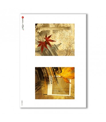 ALBUM-S-0004. Carta di riso album small per decoupage