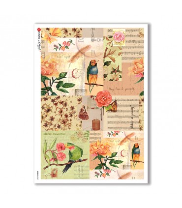 ANIMALS-0067. Carta di riso animali per decoupage.