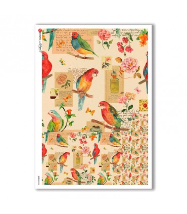 ANIMALS-0068. Animals Rice Paper for decoupage.