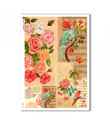 ANIMALS-0069. Animals Rice Paper for decoupage.