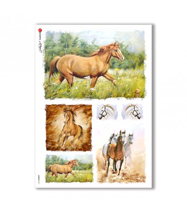 ANIMALS-0071. Animals Rice Paper for decoupage.