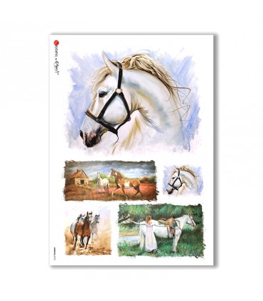 ANIMALS-0072. Animals Rice Paper for decoupage.