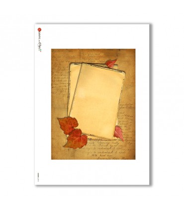 ALBUM-L-0010. Papel de Arroz album para decoupage.