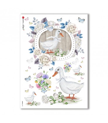 ANIMALS-0075. Carta di riso animali per decoupage.