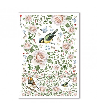 ANIMALS-0077. Animals Rice Paper for decoupage.