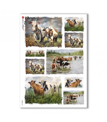 ANIMALS-0078. Animals Rice Paper for decoupage.